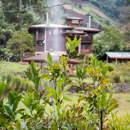Los Quetzales Ecolodge & Spa Серро-Пунта Экстерьер фото