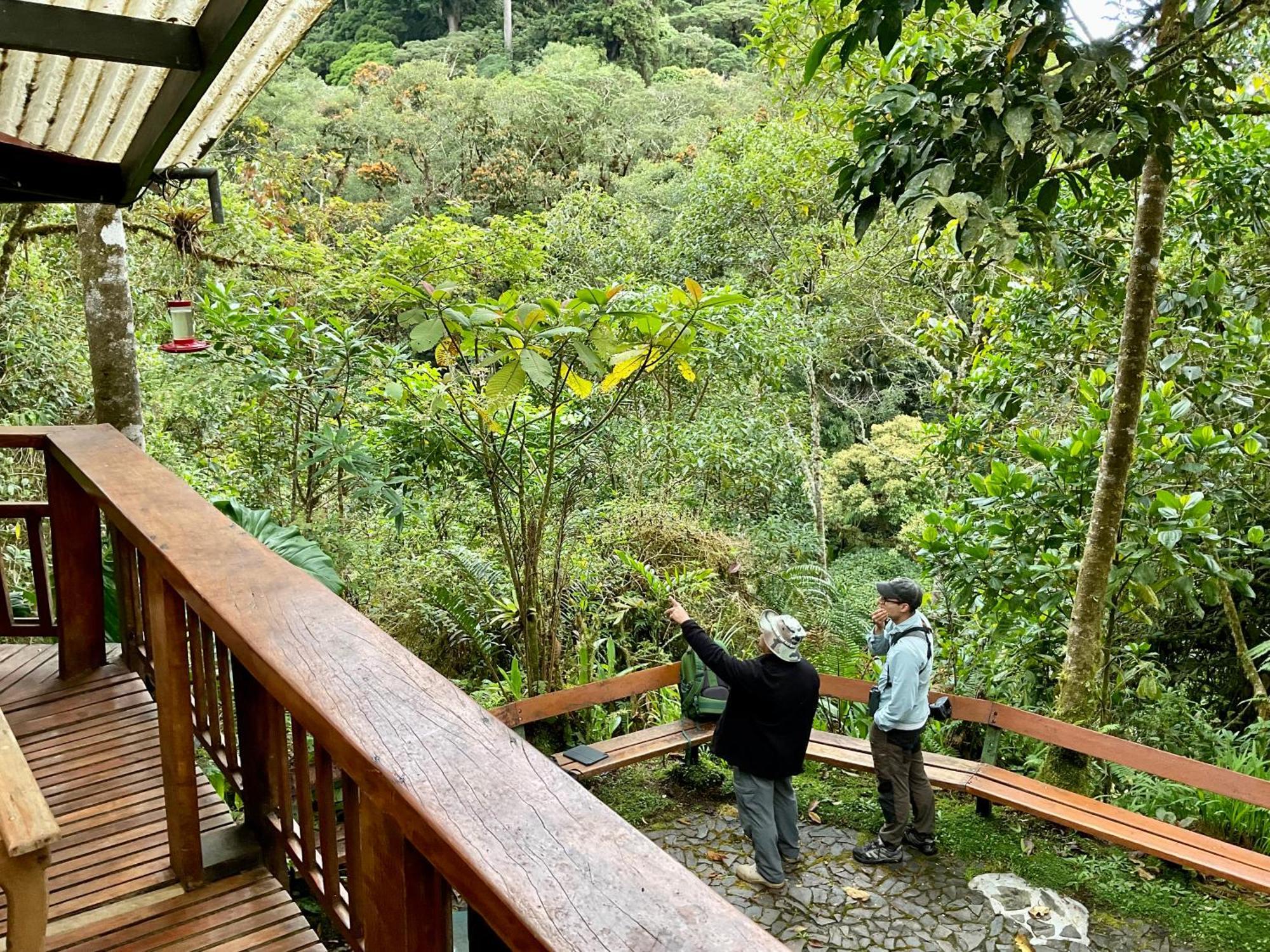 Los Quetzales Ecolodge & Spa Серро-Пунта Экстерьер фото