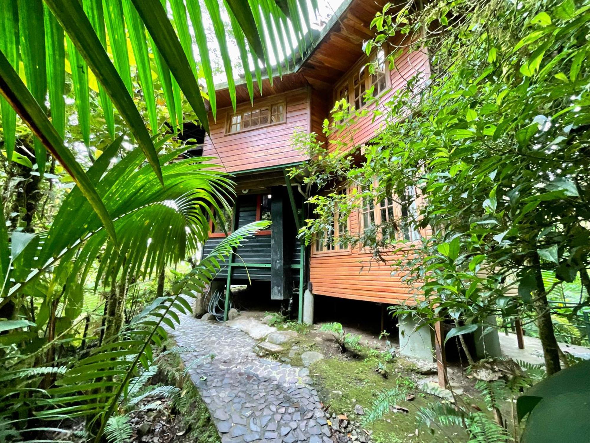 Los Quetzales Ecolodge & Spa Серро-Пунта Экстерьер фото