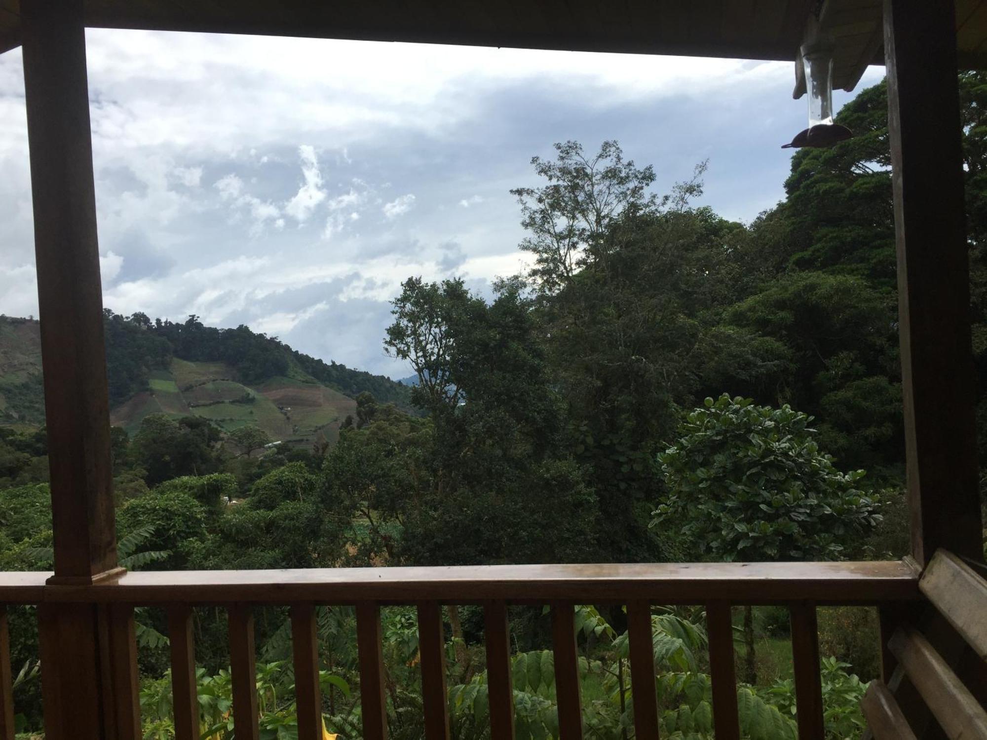 Los Quetzales Ecolodge & Spa Серро-Пунта Экстерьер фото