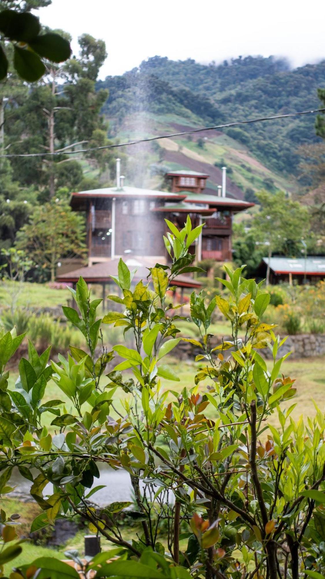 Los Quetzales Ecolodge & Spa Серро-Пунта Экстерьер фото