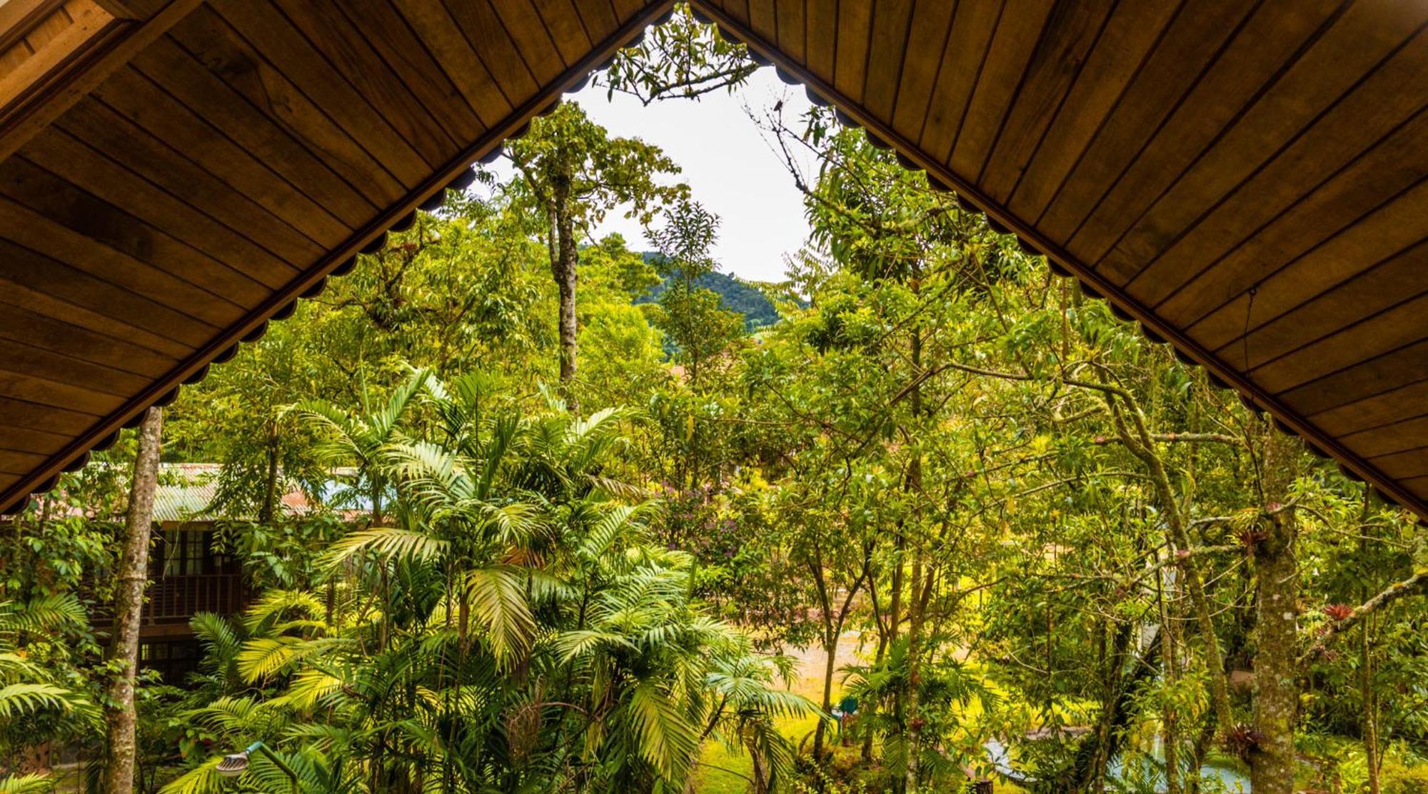 Los Quetzales Ecolodge & Spa Серро-Пунта Экстерьер фото
