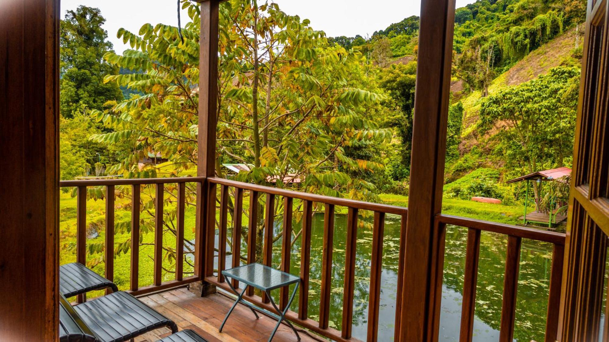 Los Quetzales Ecolodge & Spa Серро-Пунта Экстерьер фото