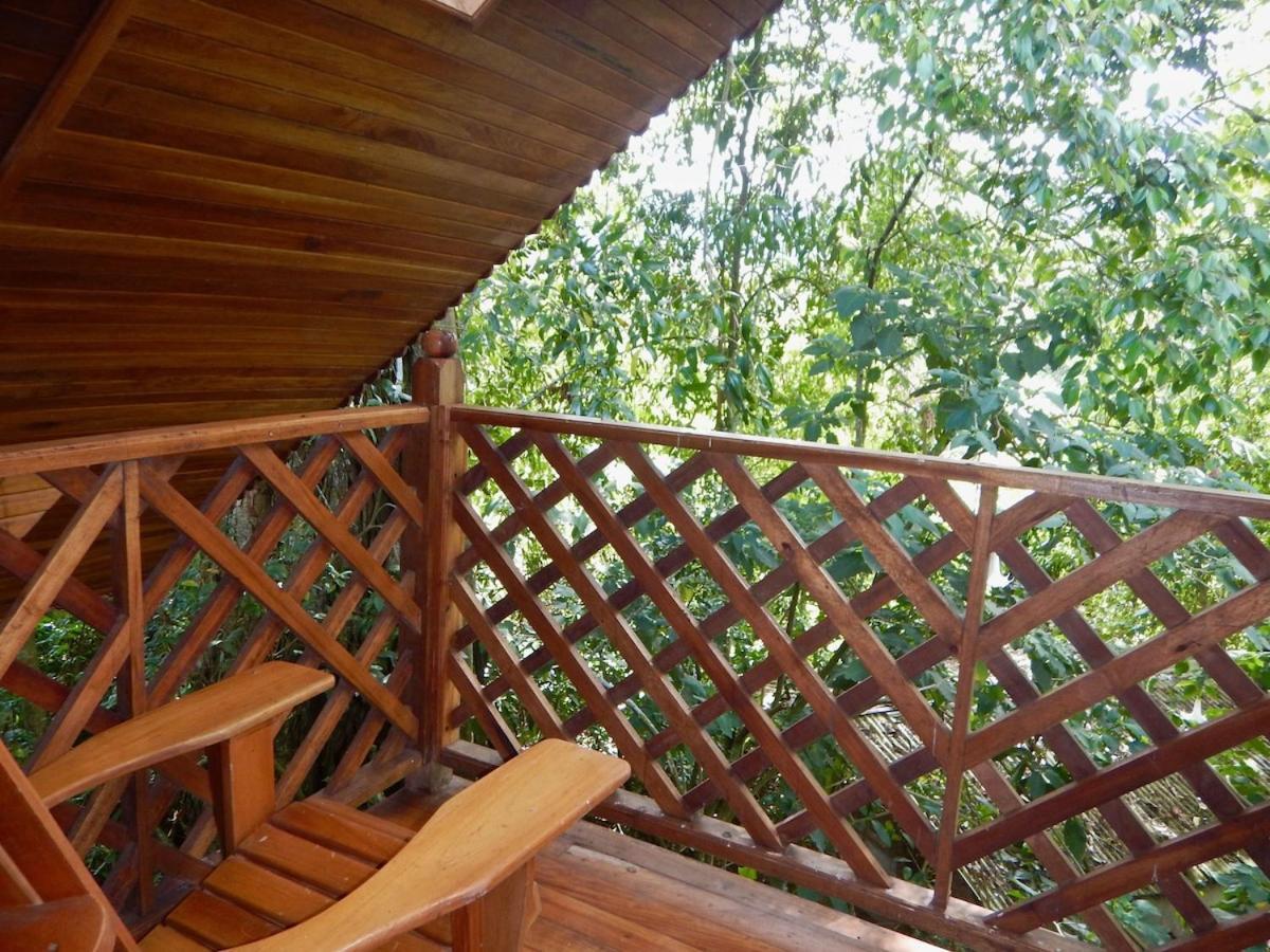Los Quetzales Ecolodge & Spa Серро-Пунта Экстерьер фото
